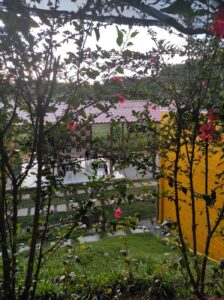 WhatsApp Image 2026-06-02 at 18.49.47 (1)